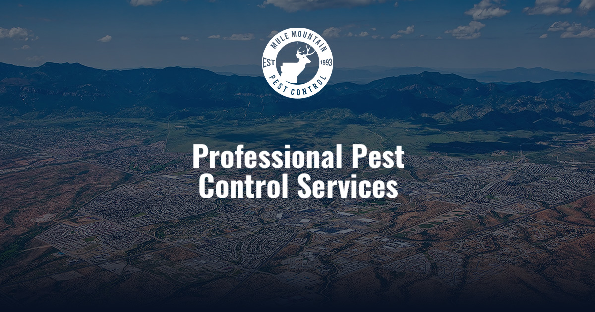 Pest Control In Sierra Vista, Az 